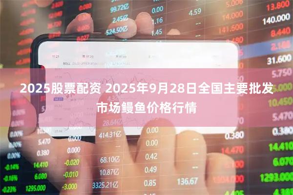 2025股票配资 2025年9月28日全国主要批发市场鳗鱼价格行情