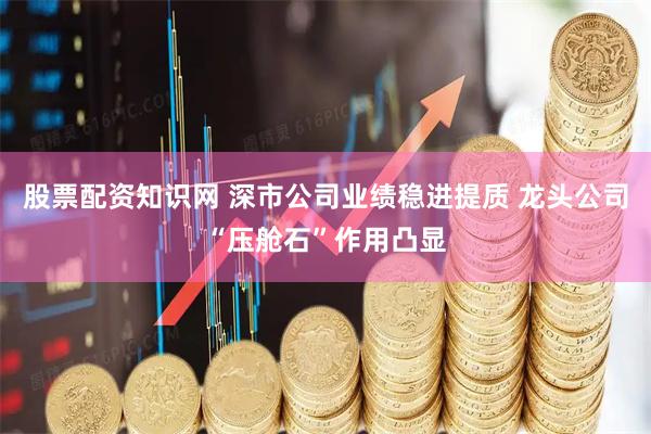 股票配资知识网 深市公司业绩稳进提质 龙头公司“压舱石”作用凸显